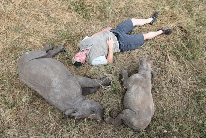 Campbell sleeping next to rhinos at Lewa Wildlife Conservancy