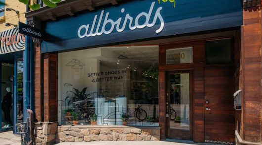 A look at Allbirds' recent financial performance. Image supplied