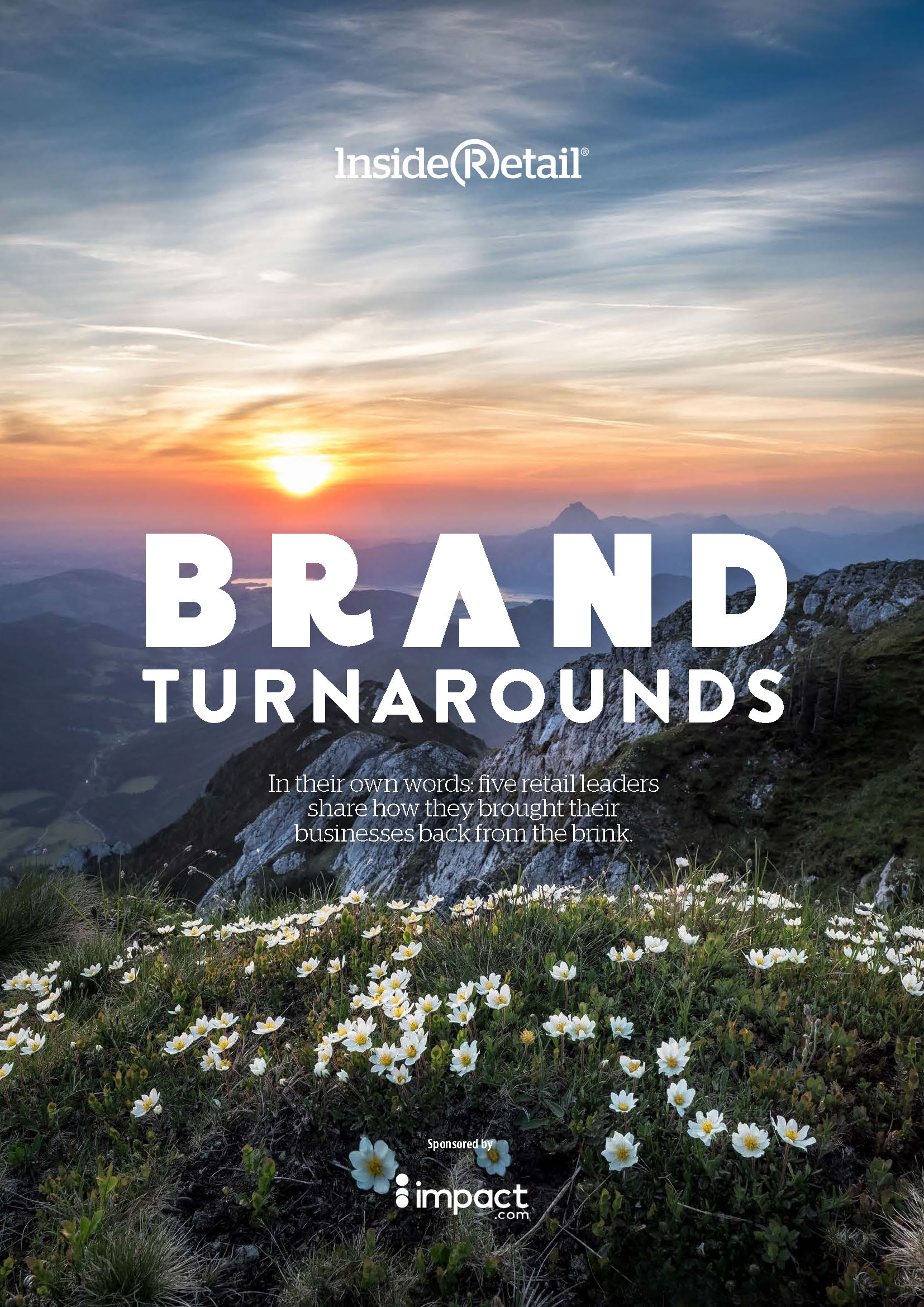 Brand Turnarounds