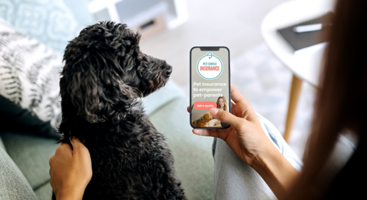 Pet Circle's new insurance offering. Image supplied